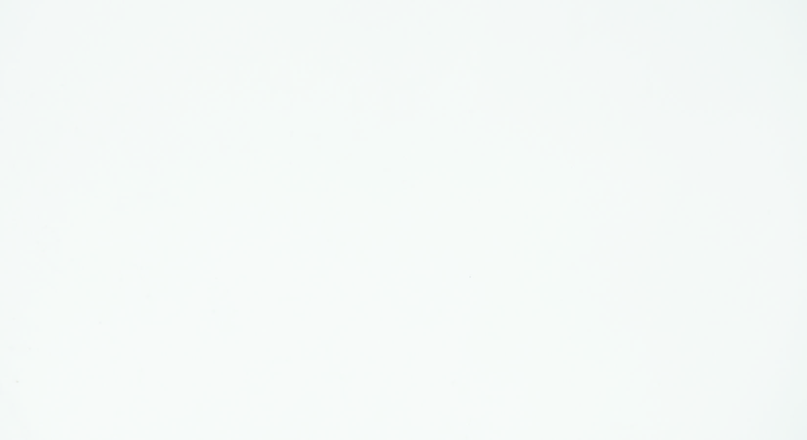 Thassos White Marble | Premium Marble Collection - Stone Emporium